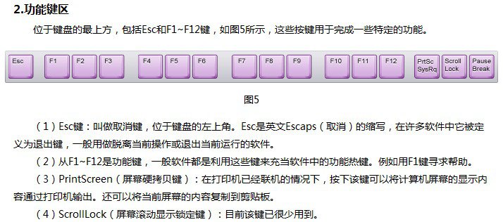 認(rèn)識(shí)電腦鍵盤(pán)