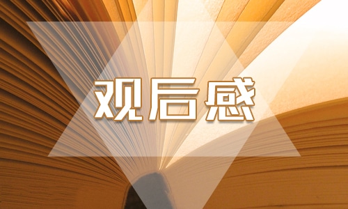 《長征》小學(xué)生觀后感