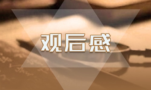 《為了和平》觀后感心得體會(huì)