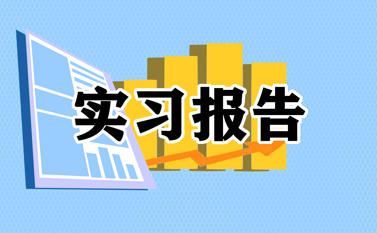 審計專業(yè)個人實習(xí)報告