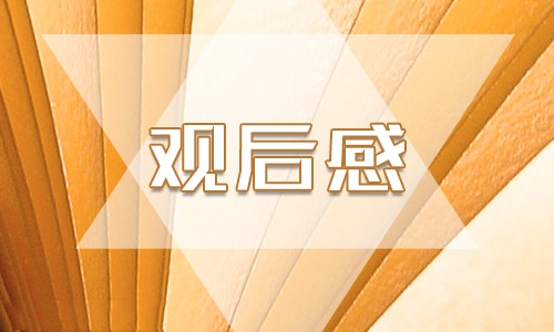 跨過鴨綠江觀后感小學(xué)生作文500字