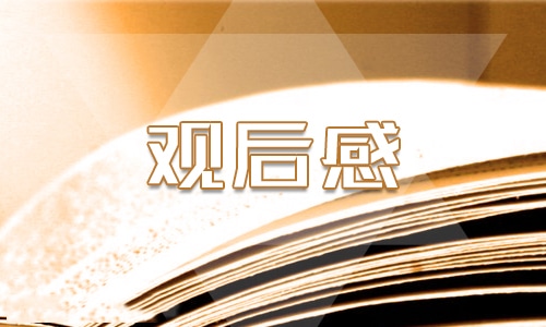 2022感動(dòng)中國的觀后感400字精選15篇